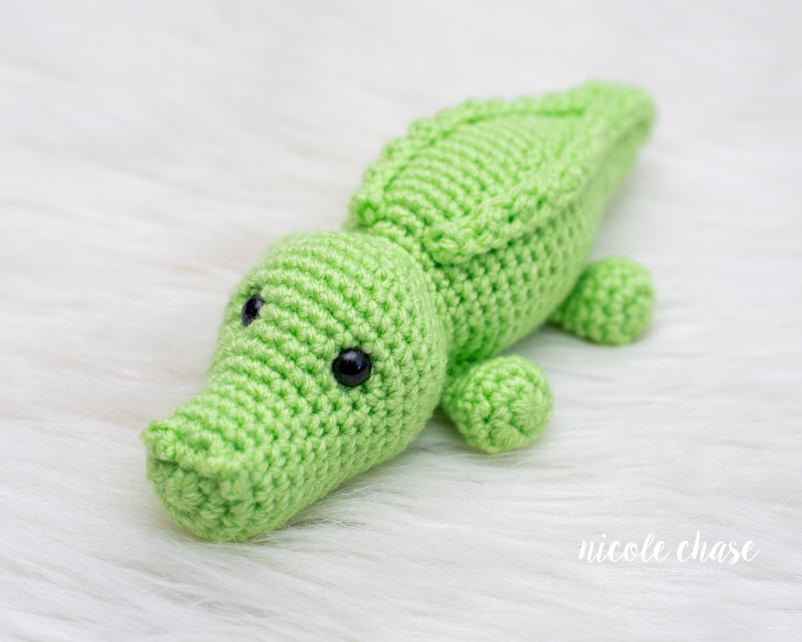 Alan the Alligator photo 2