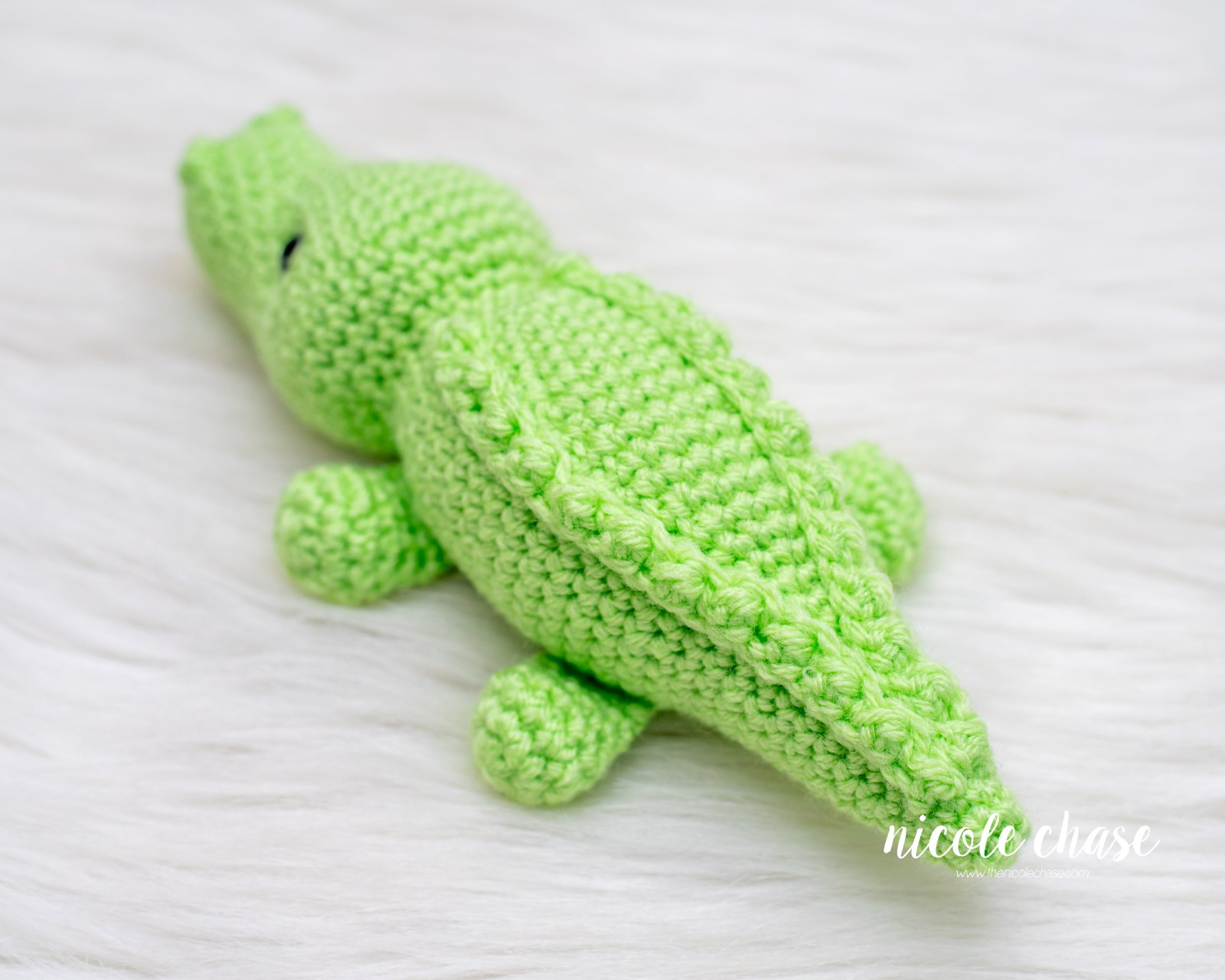 Alan the Alligator photo 4