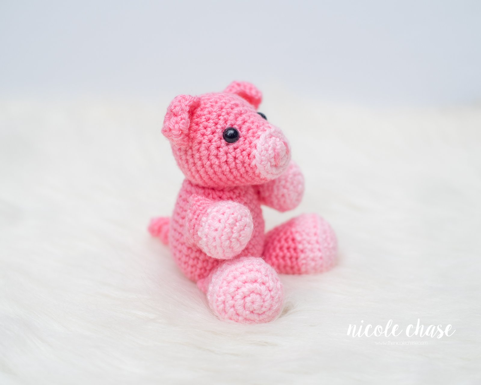 Presley the Pig photo 2