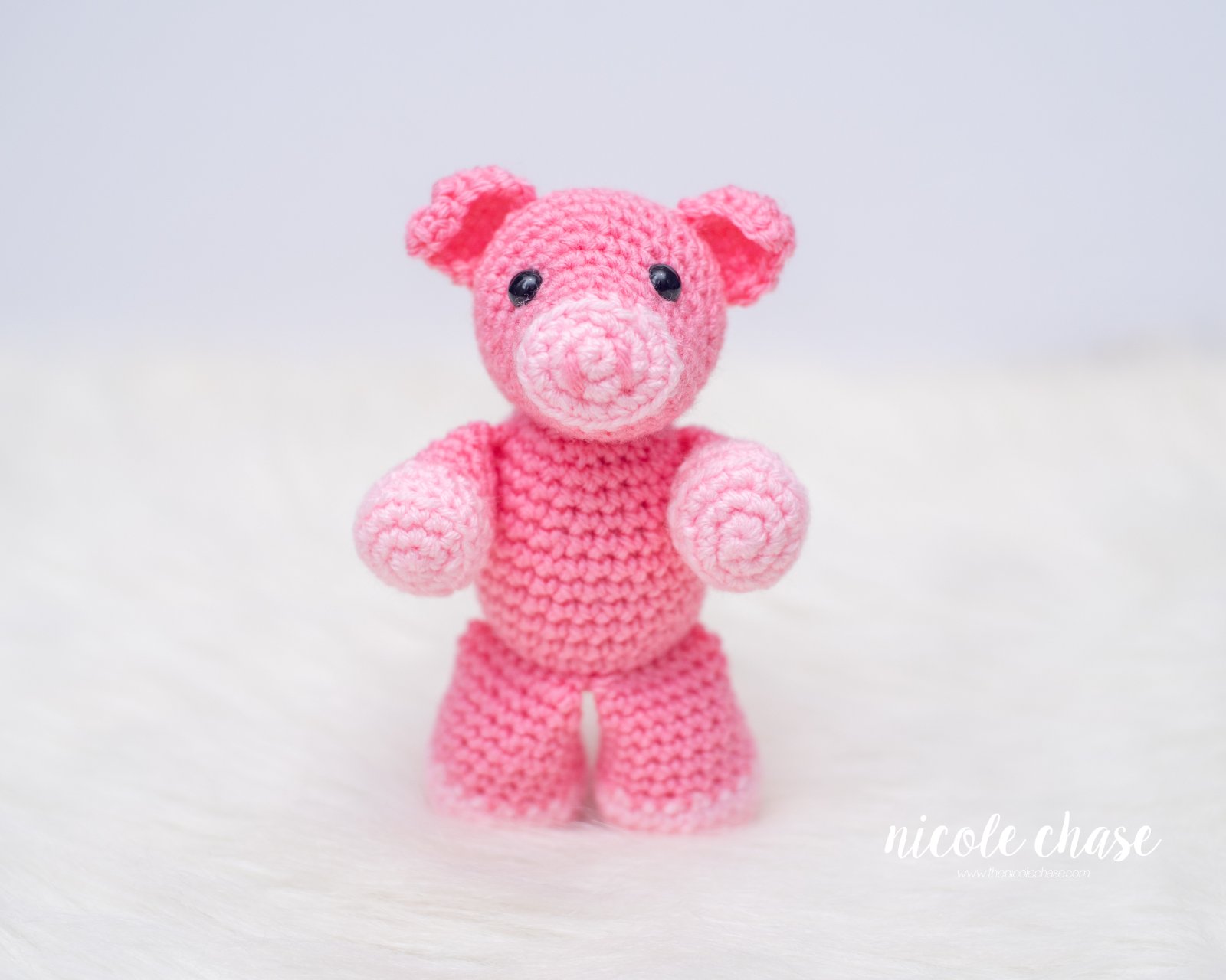Presley the Pig photo 4