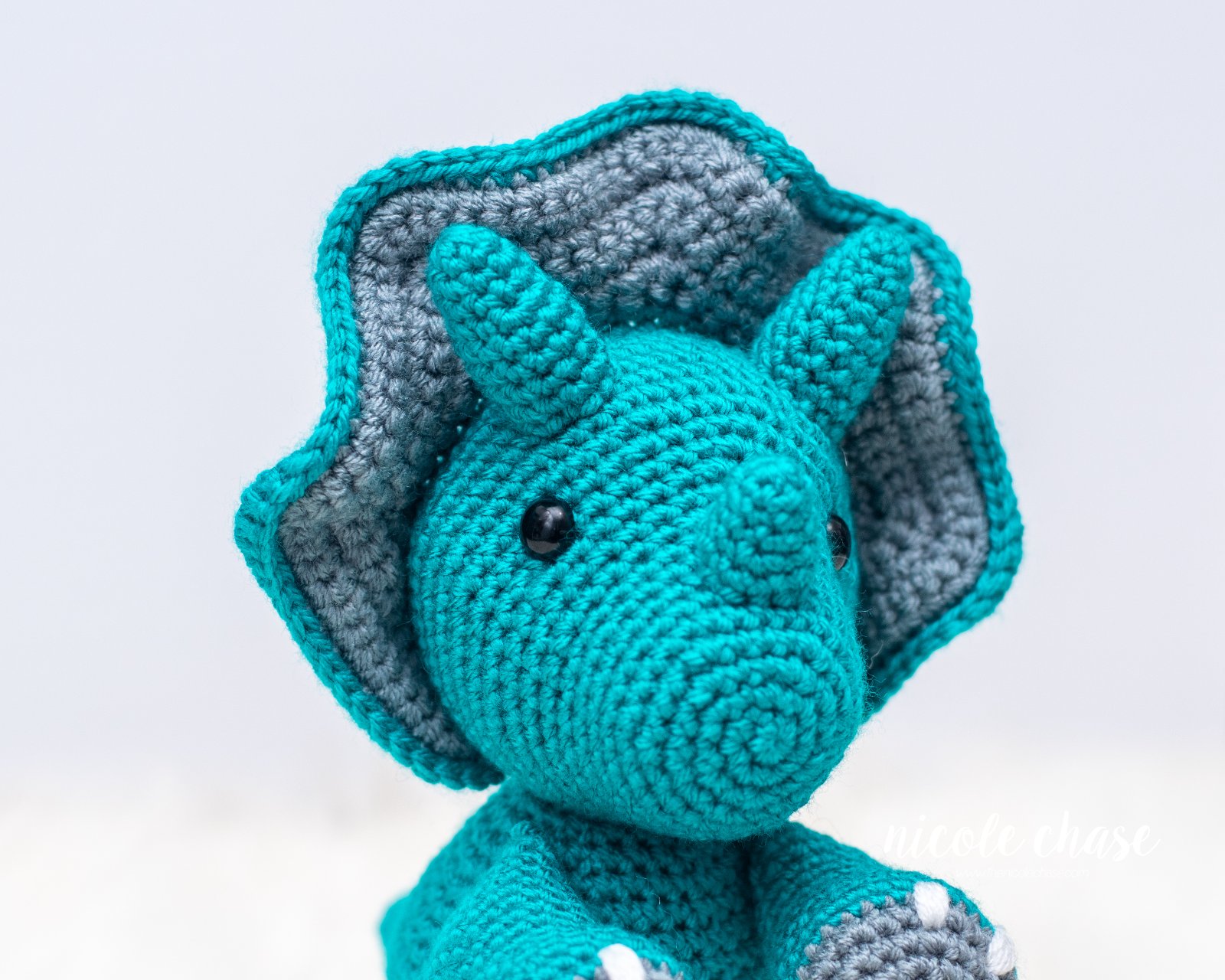 Tanner the Triceratops photo 3