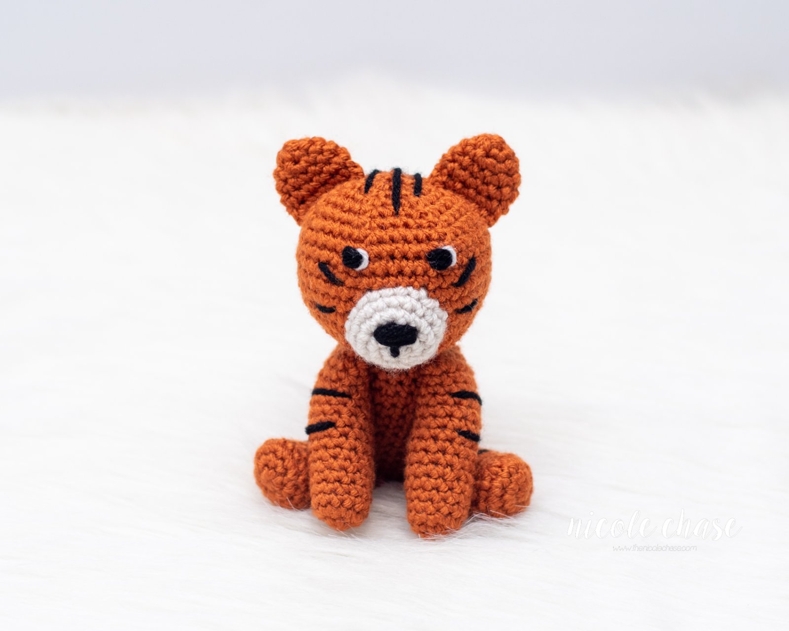 Tatum the Tiger photo 2