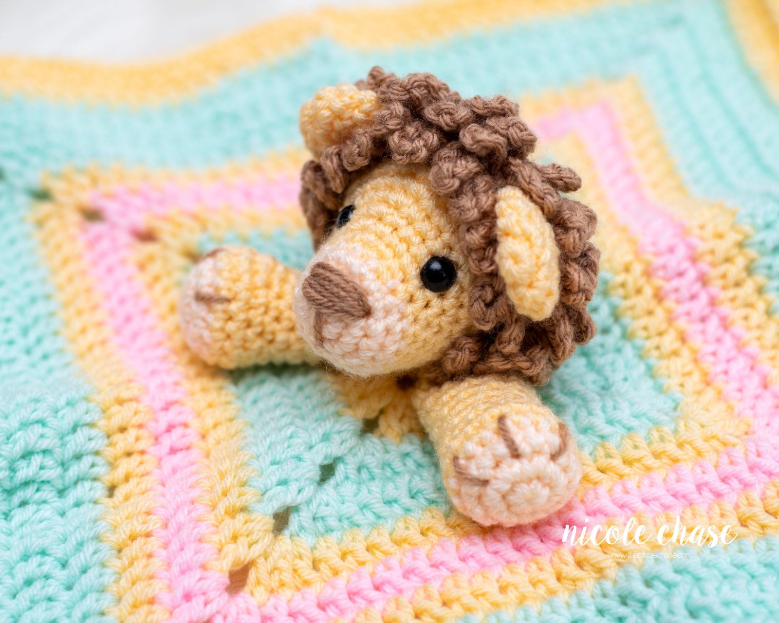 Hug Me Lion Lovey photo 2