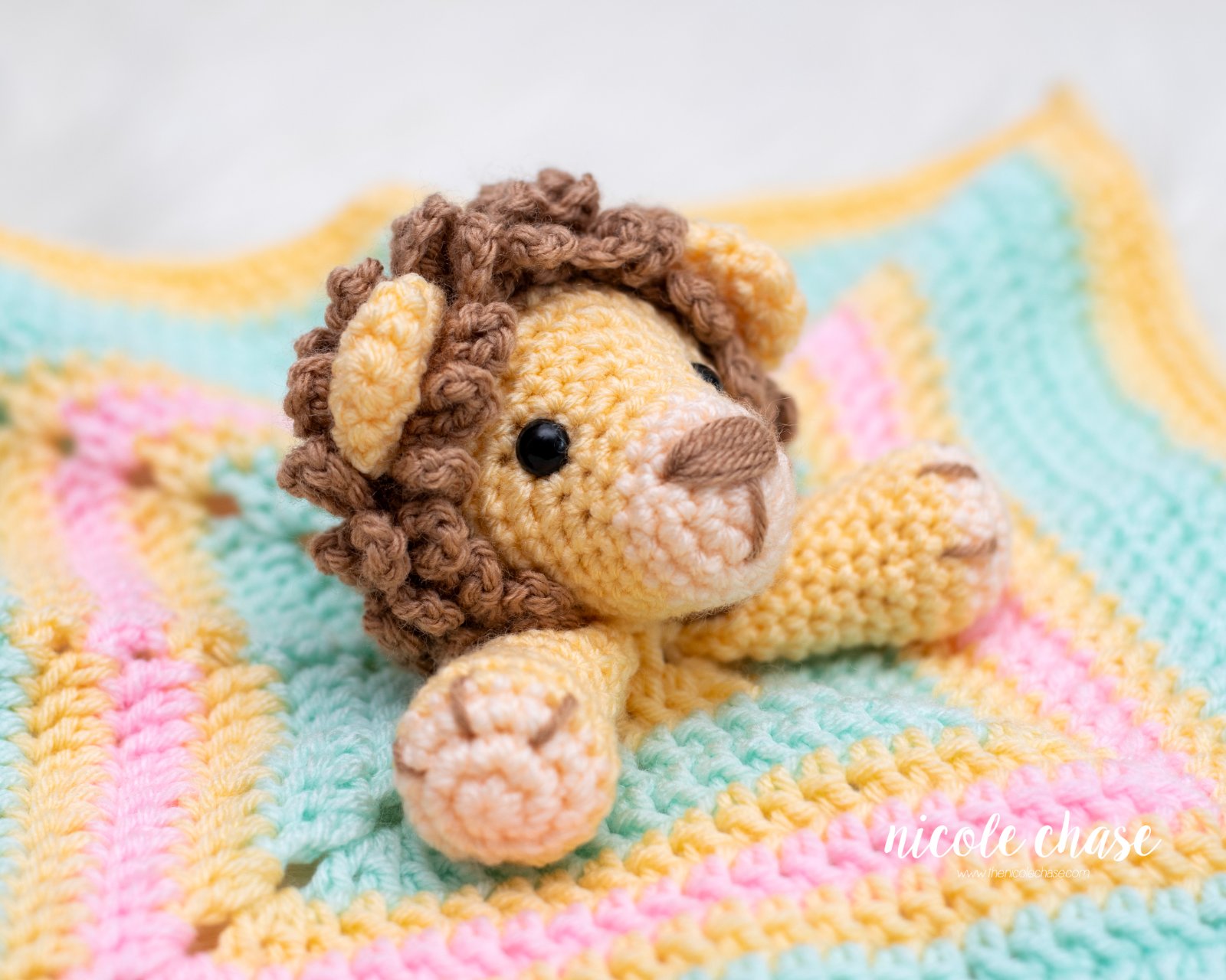 Hug Me Lion Lovey photo 5