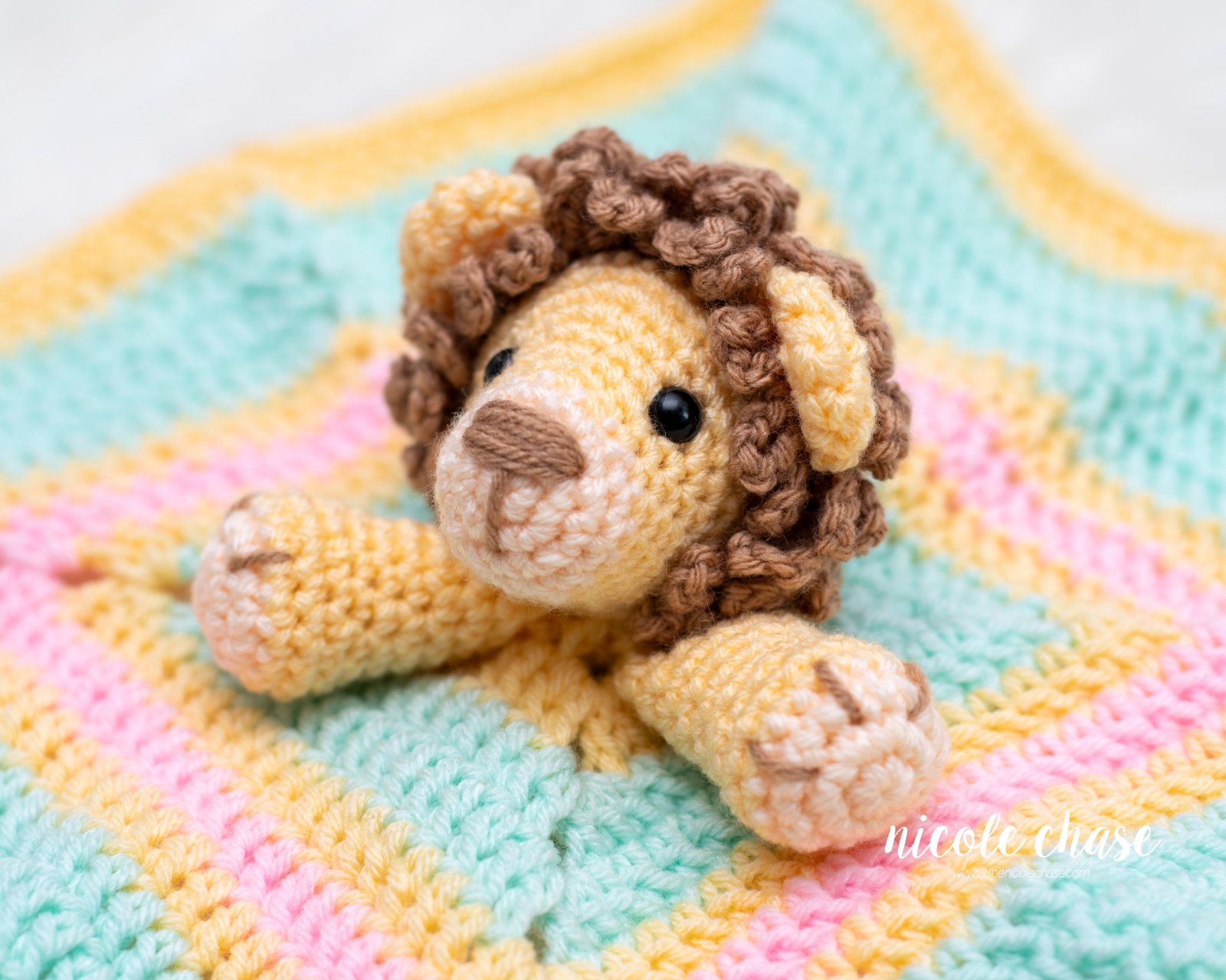 Hug Me Lion Lovey photo 1