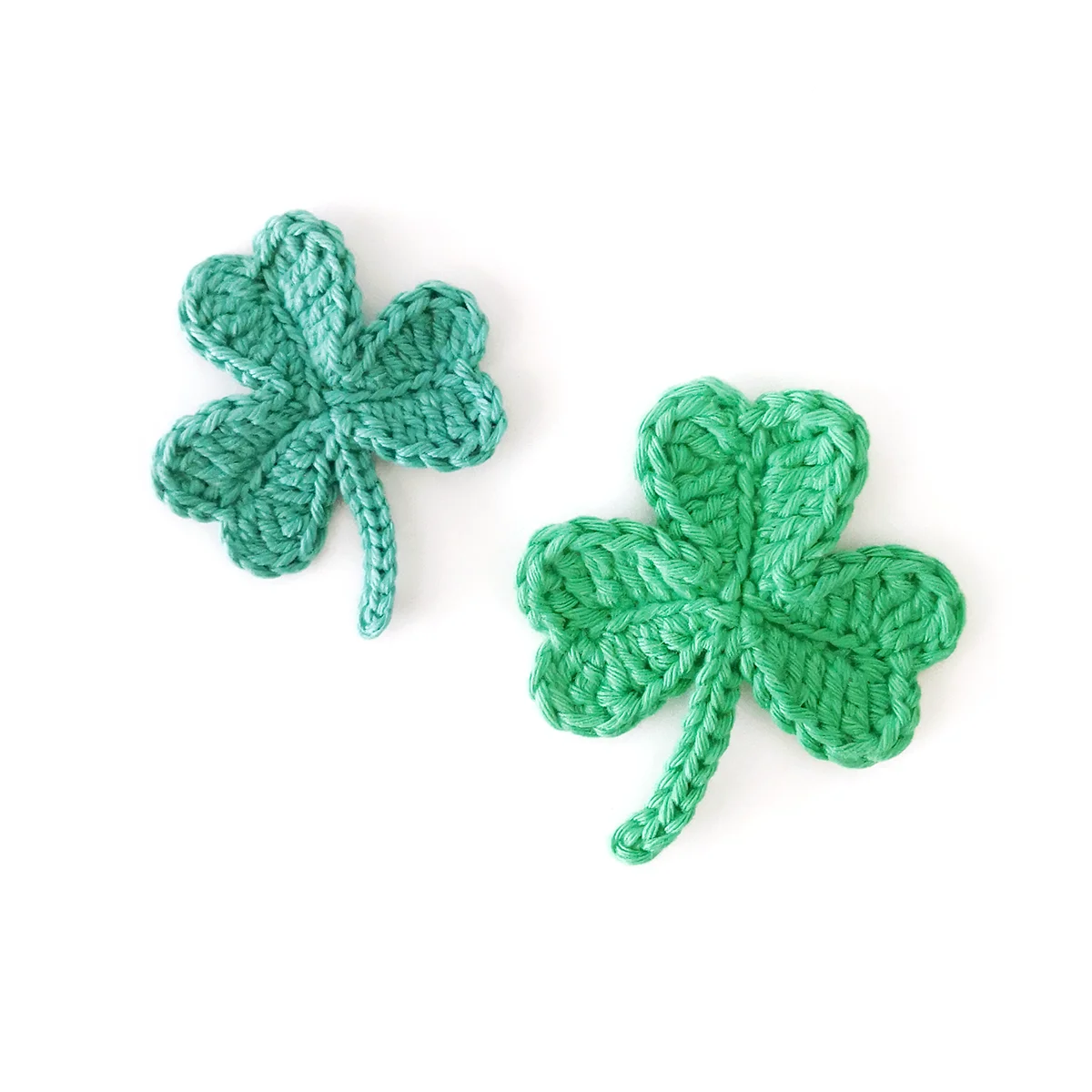 Shamrock photo 2