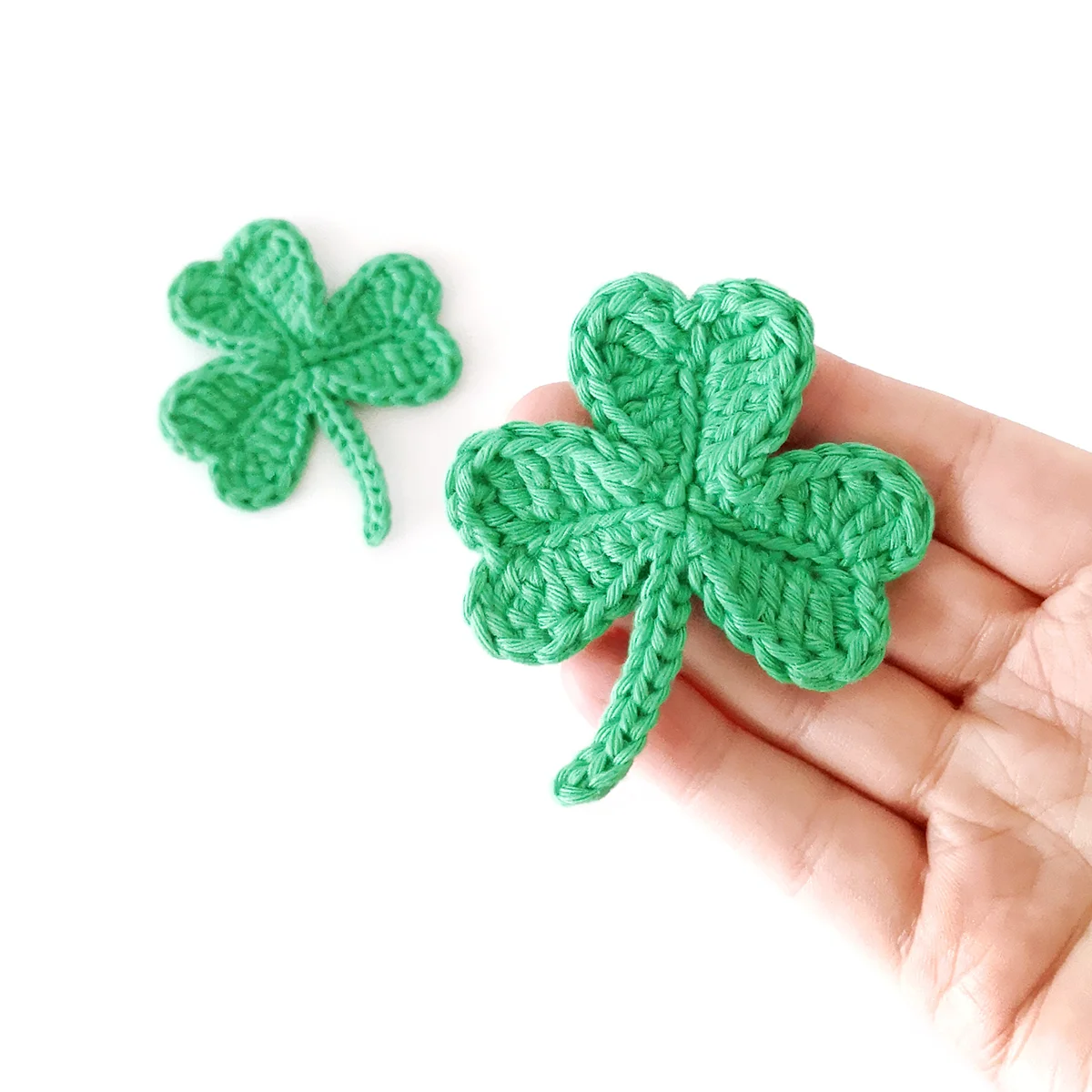 Shamrock photo 3