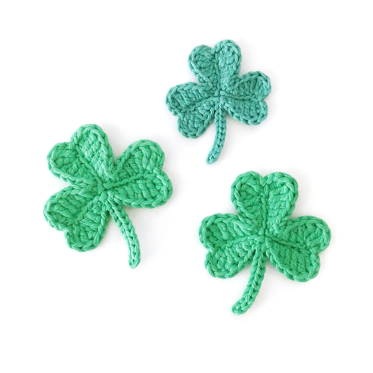 Shamrock photo 4