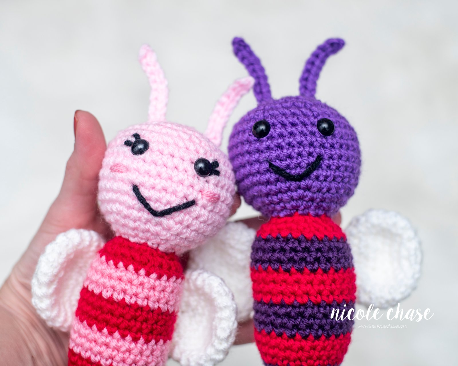 Lulu the Love Bug photo 3