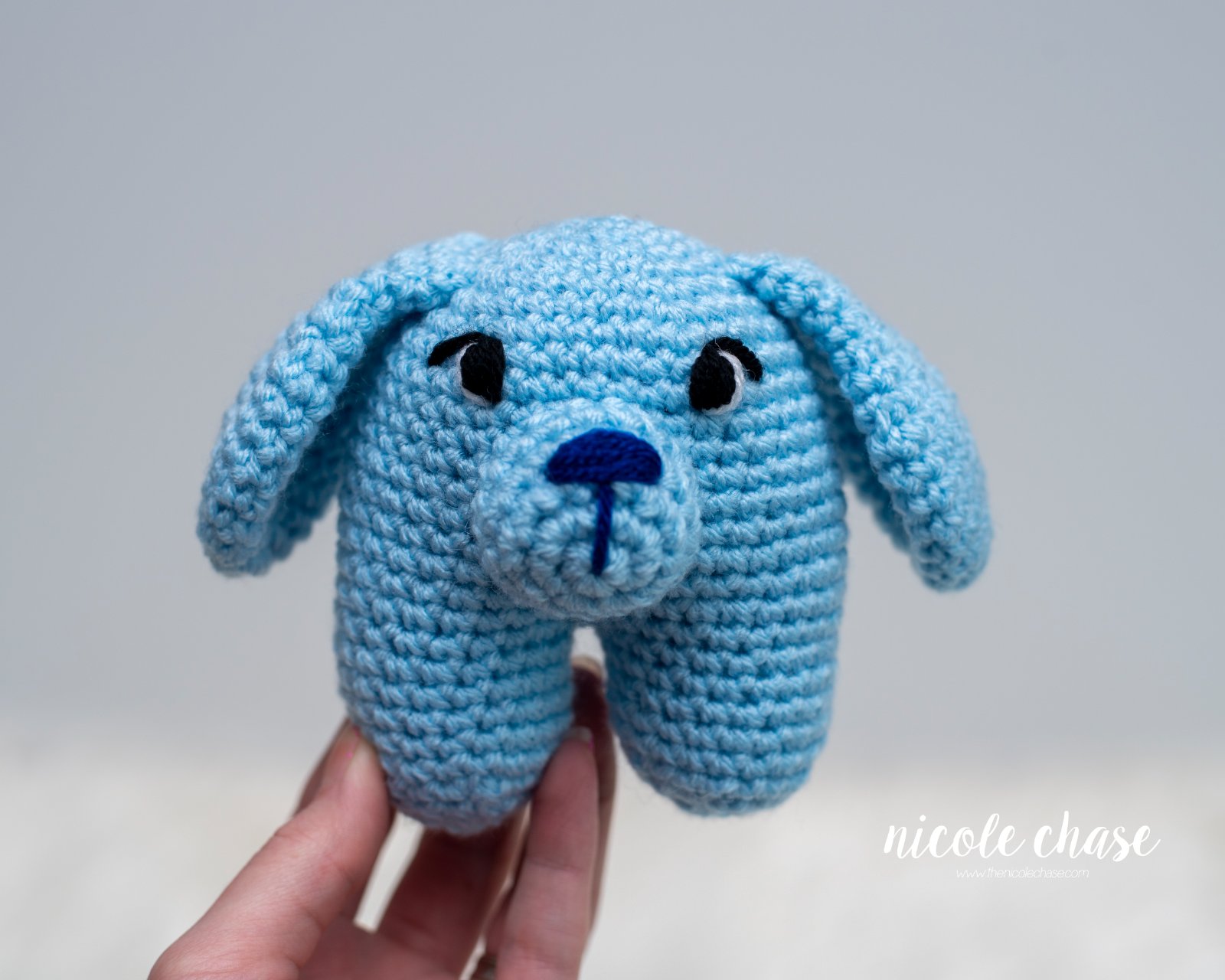Perry the Puppy photo 2