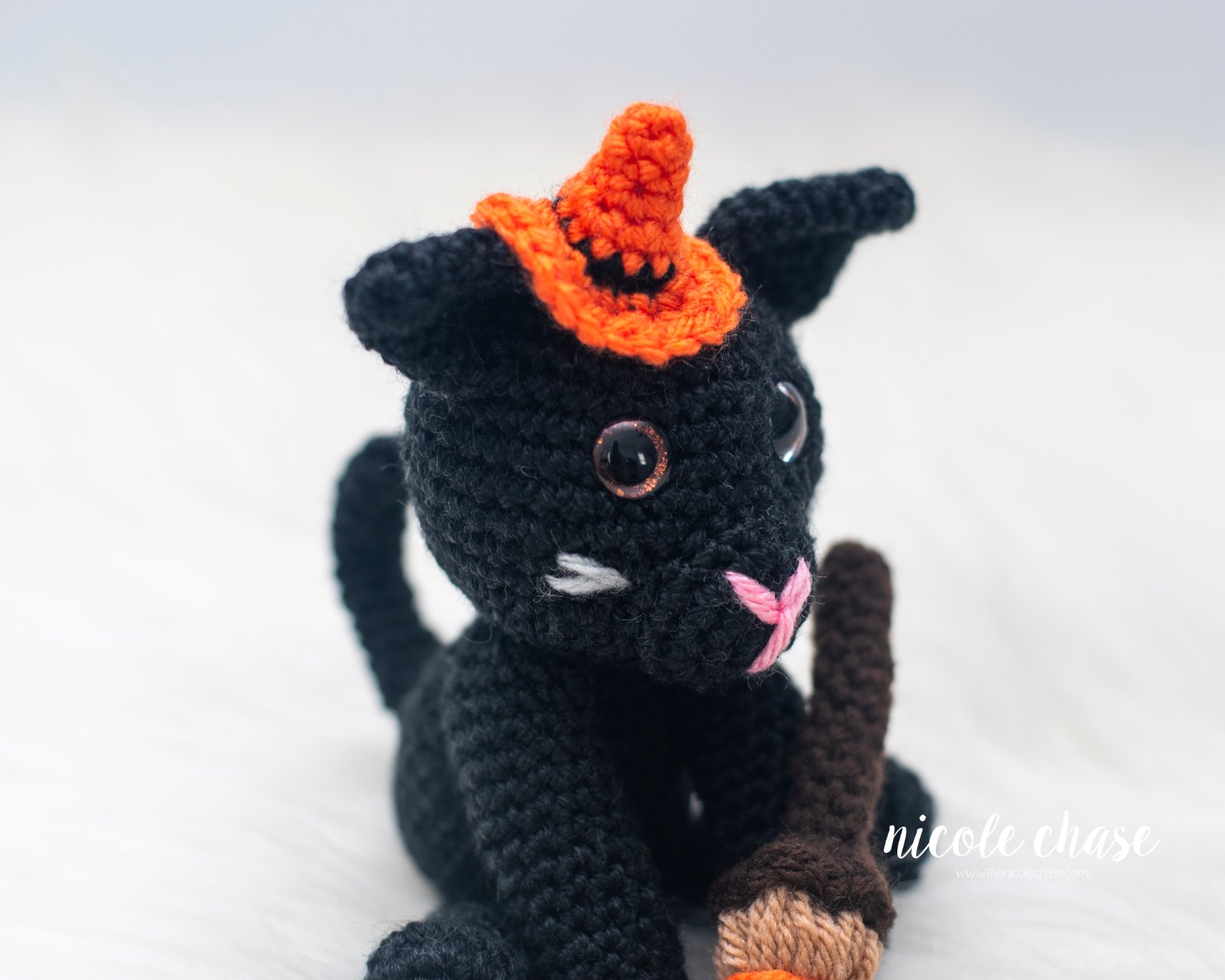 Cobweb the Cat photo 2