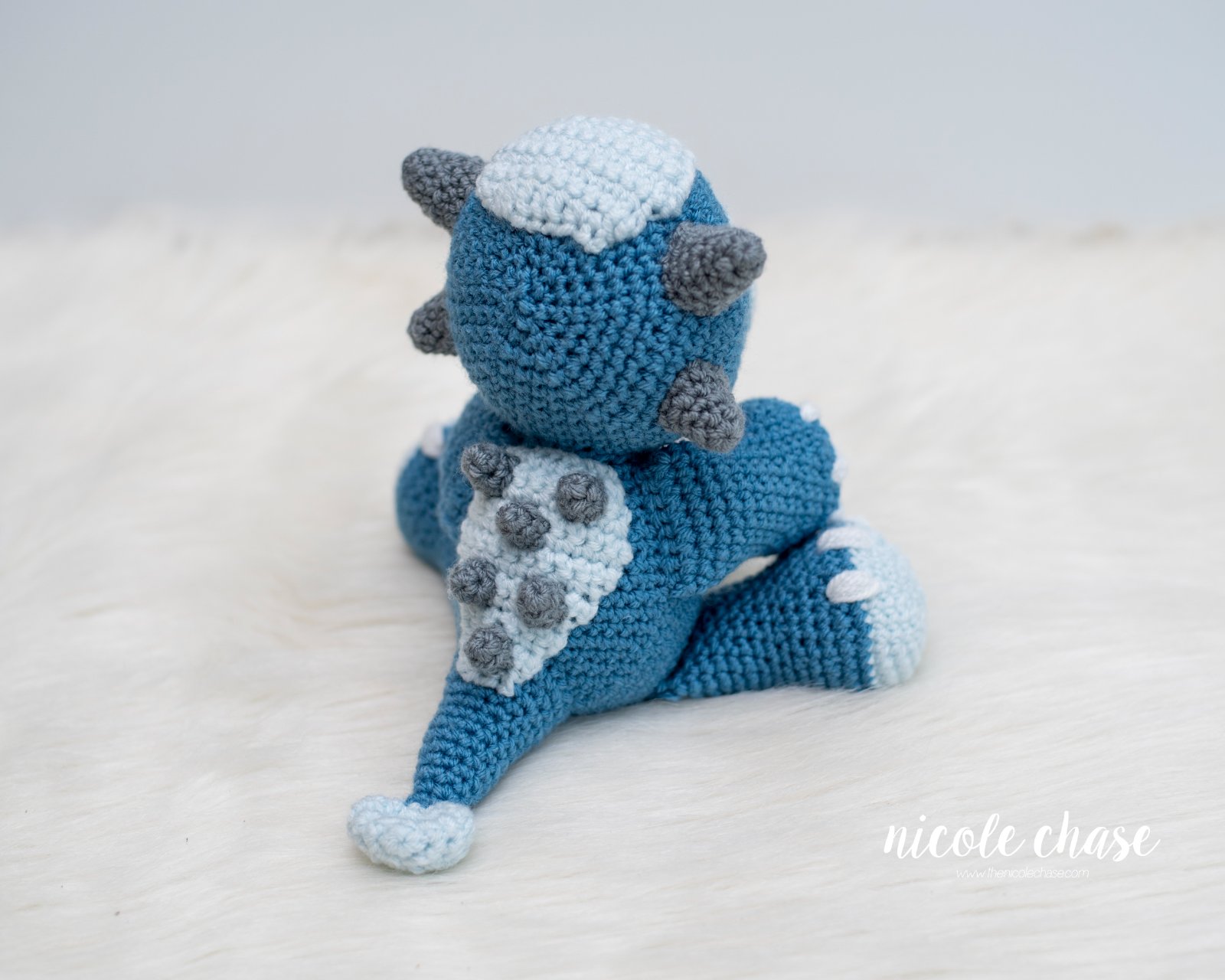 Archie the Ankylosaurus photo 3