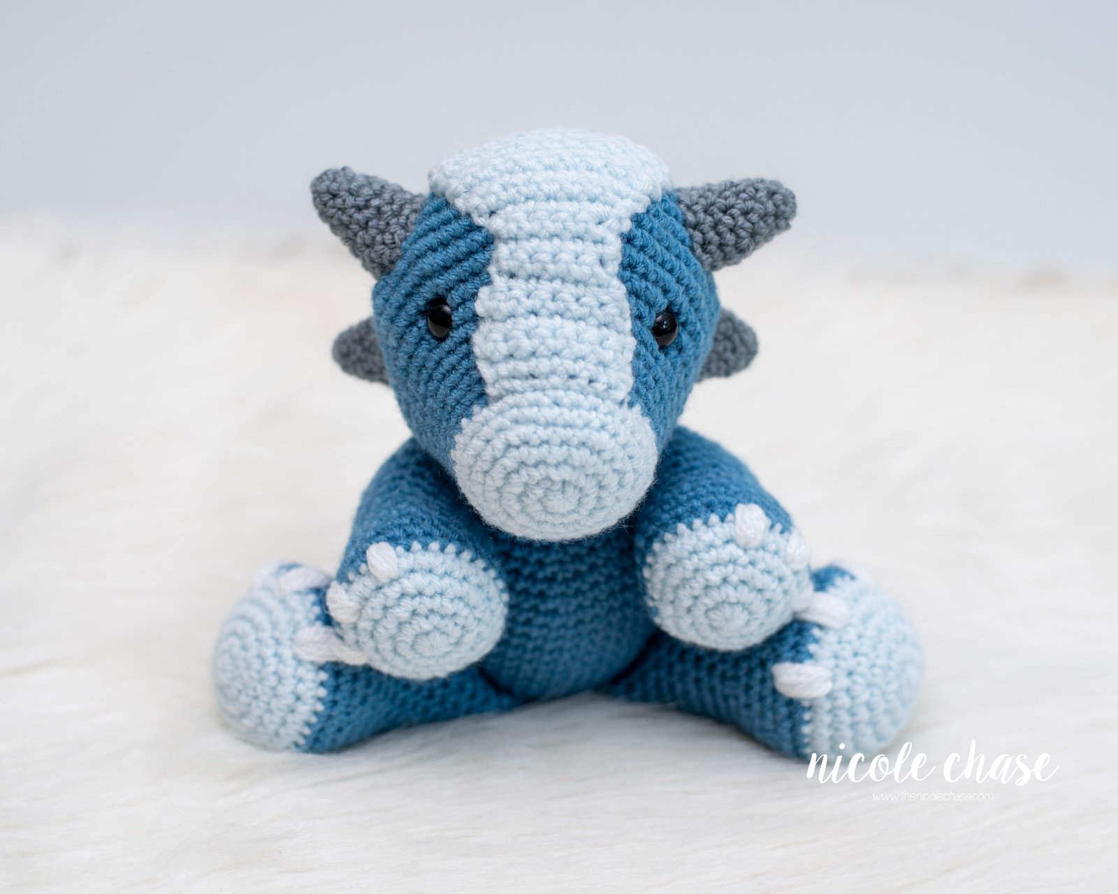 Archie the Ankylosaurus photo 2
