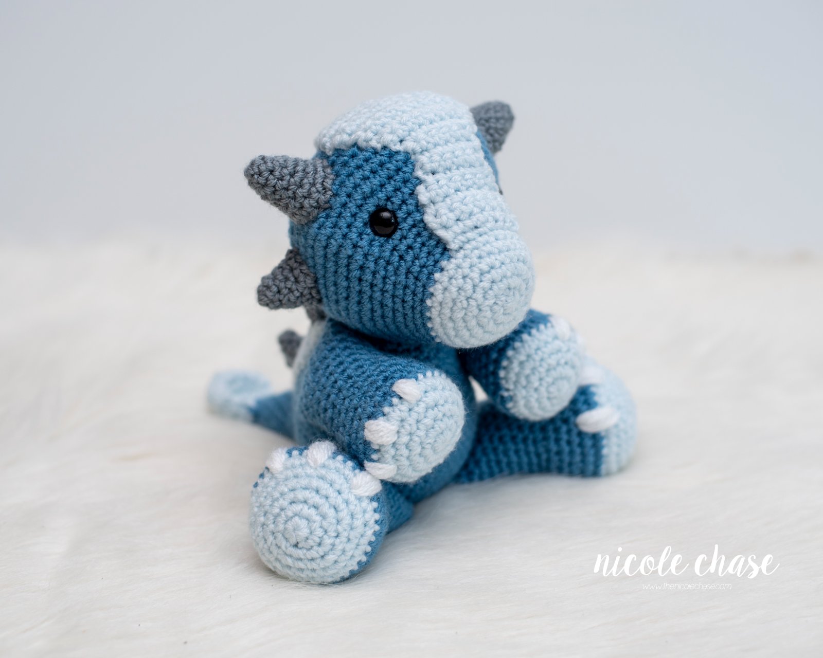 Archie the Ankylosaurus photo 1