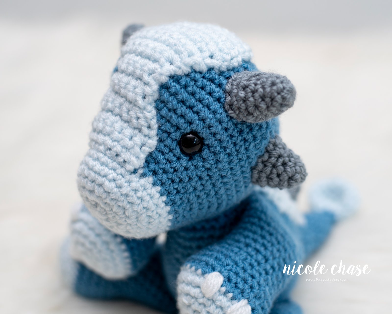 Archie the Ankylosaurus photo 4