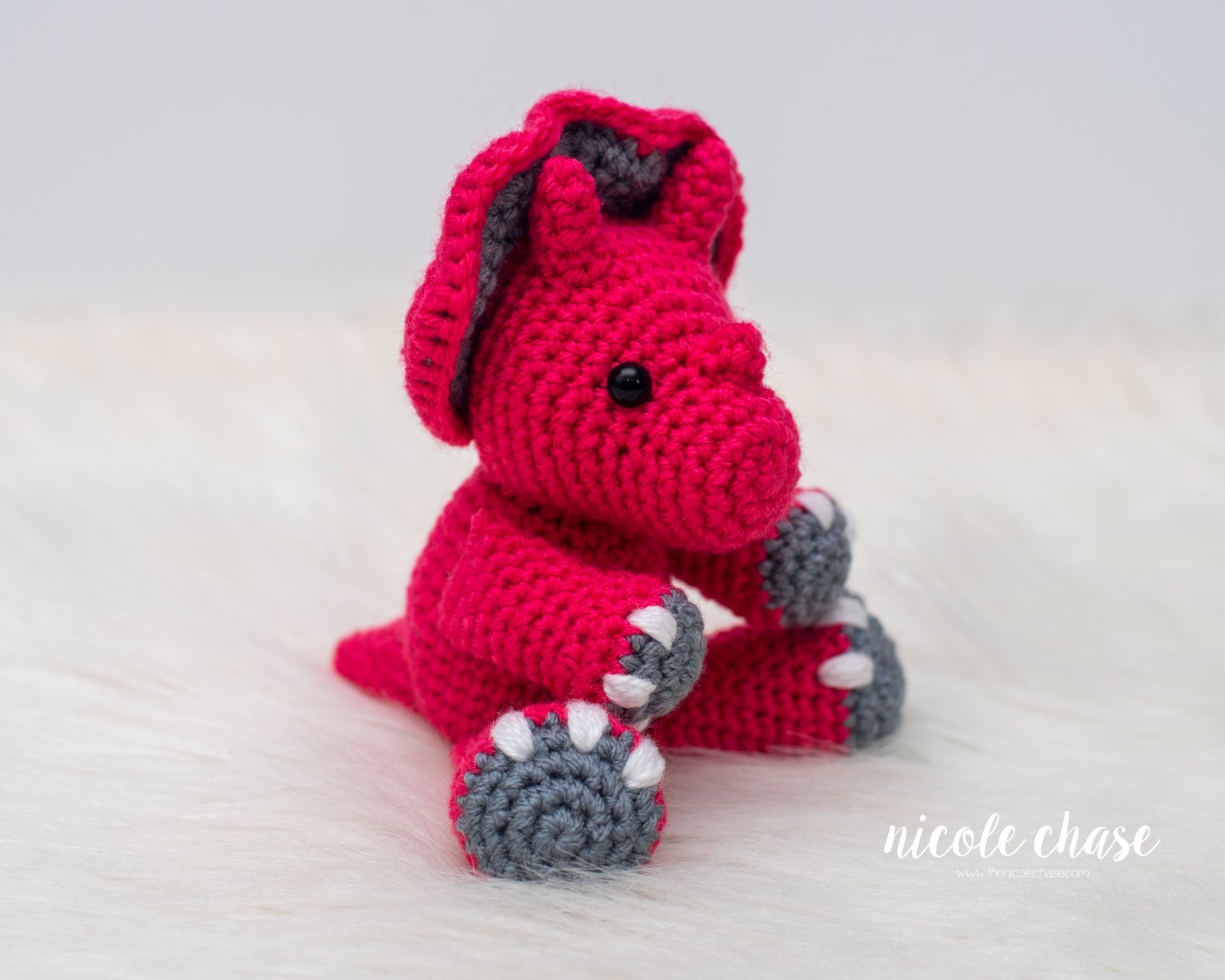 Mini Tanner the Triceratops photo 4