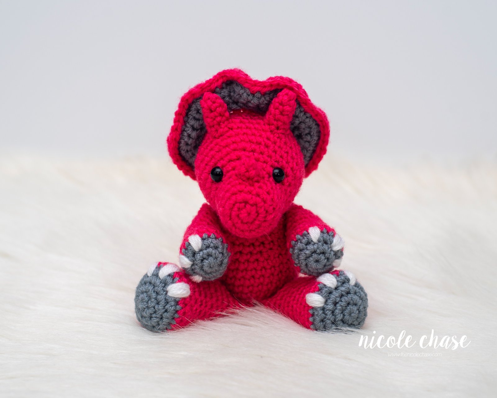 Mini Tanner the Triceratops photo 3