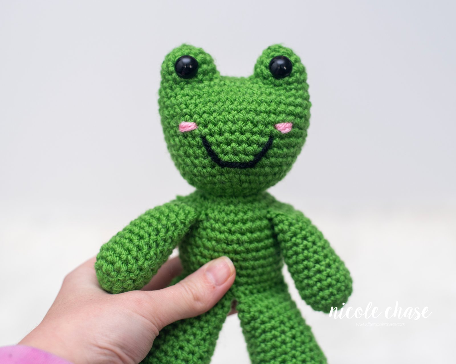 Fergus the Frog photo 3