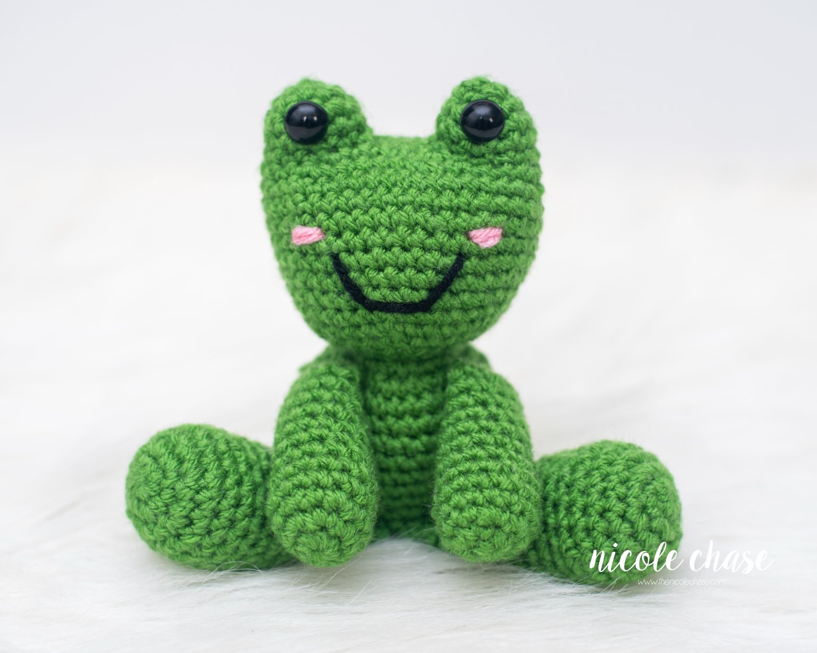 Fergus the Frog photo 2