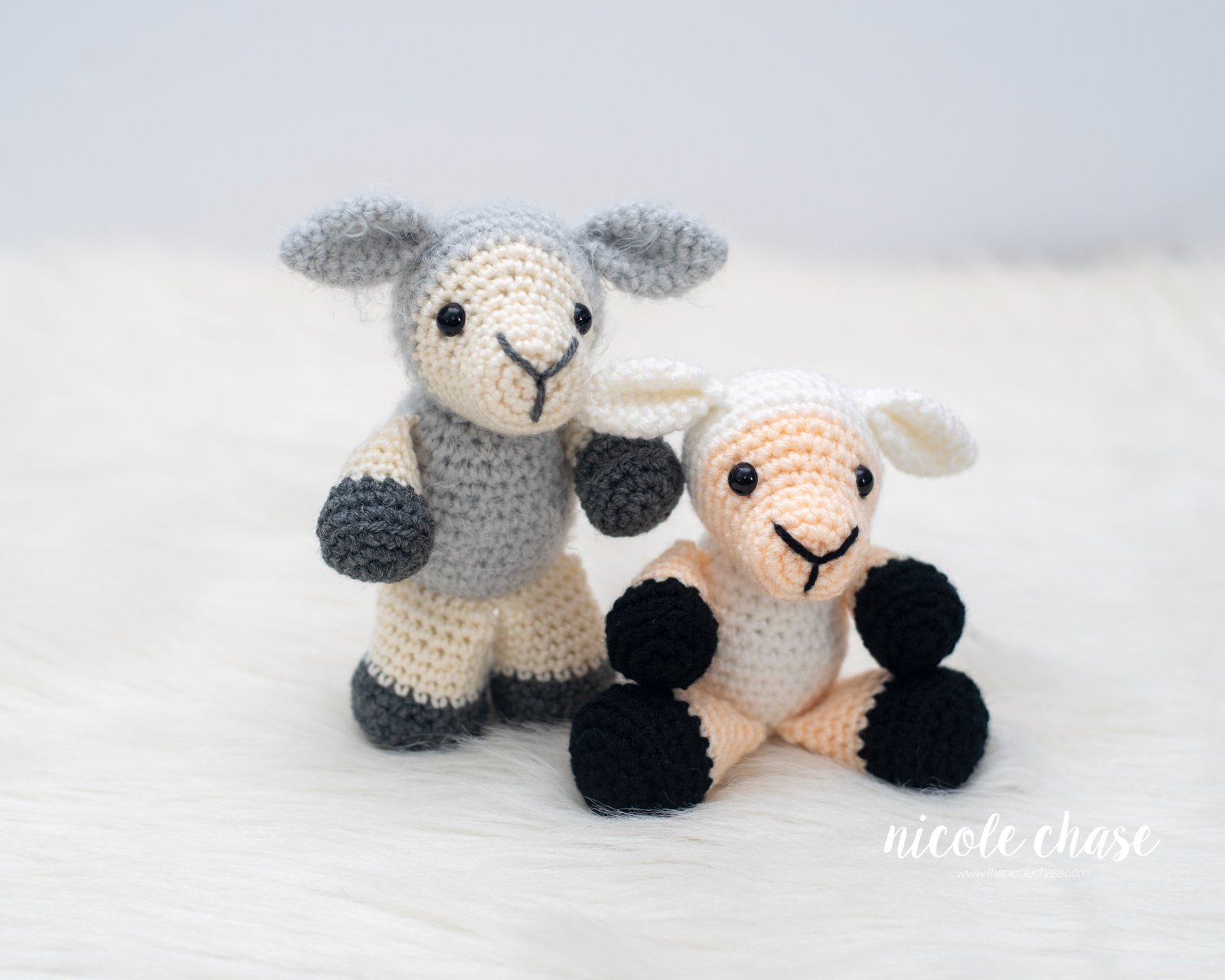 Sherman the Sheep