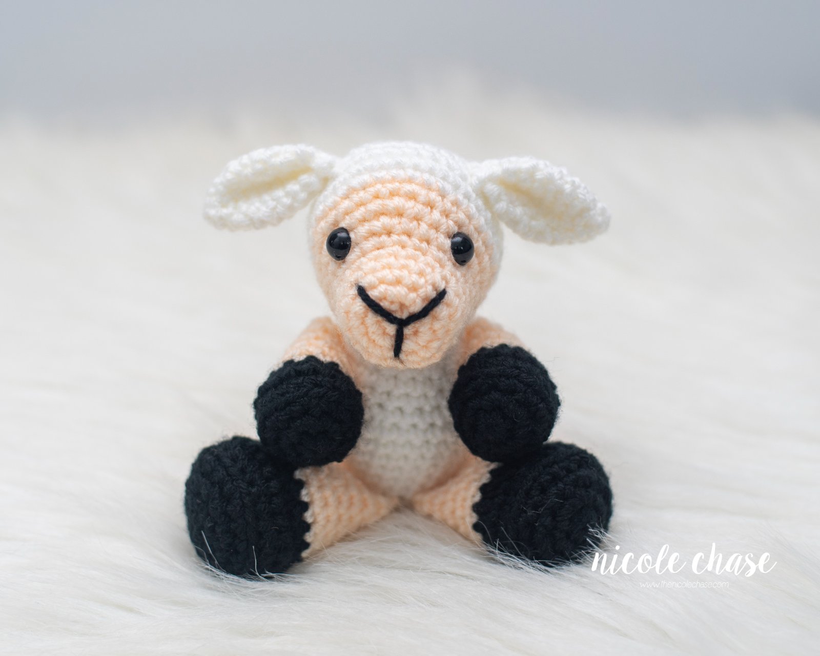Sherman the Sheep photo 3