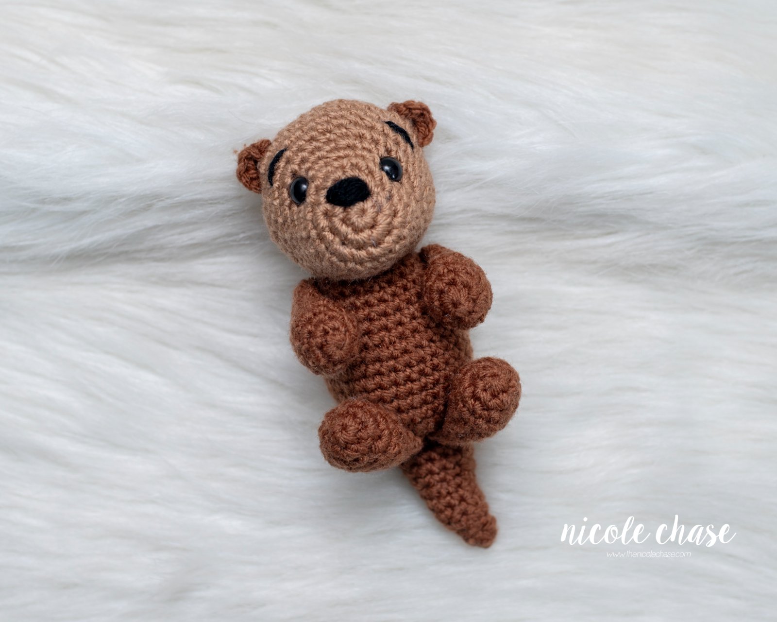 Ollie the Otter photo 3