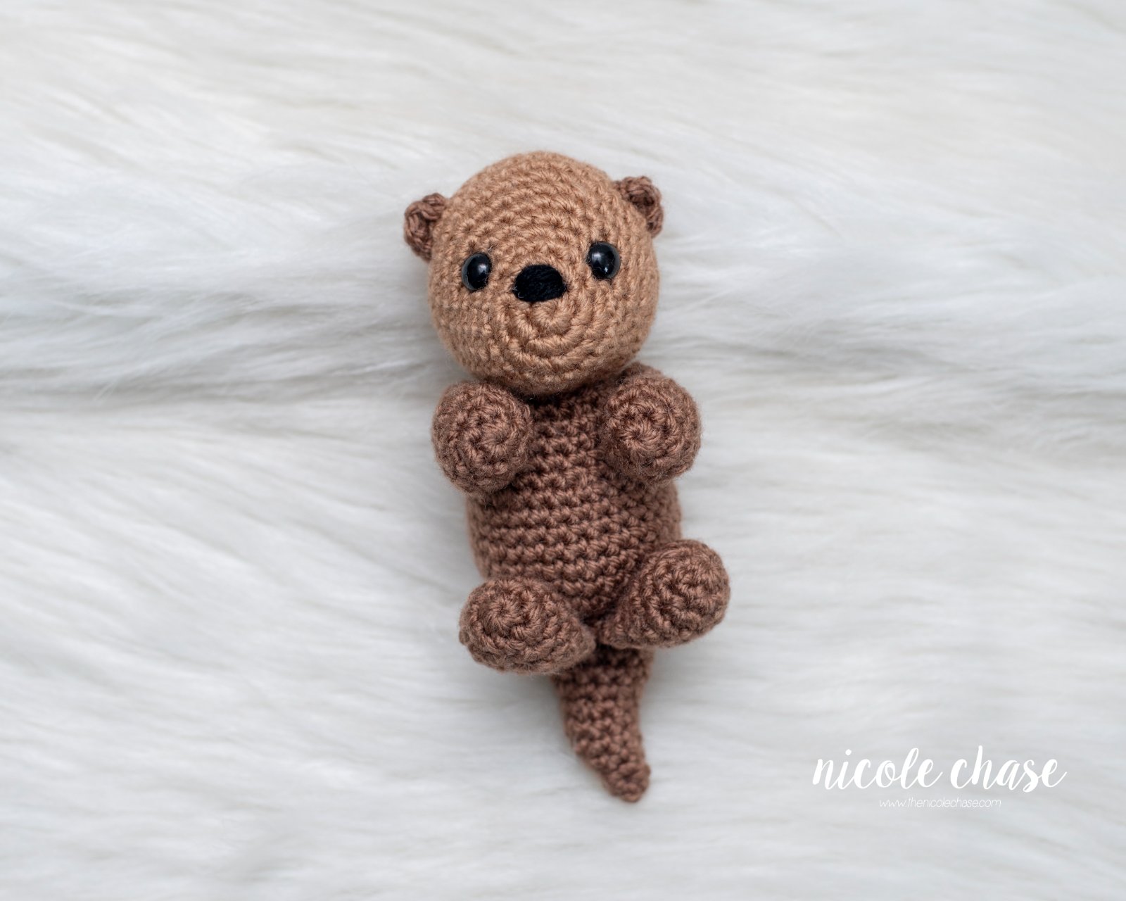 Ollie the Otter photo 2