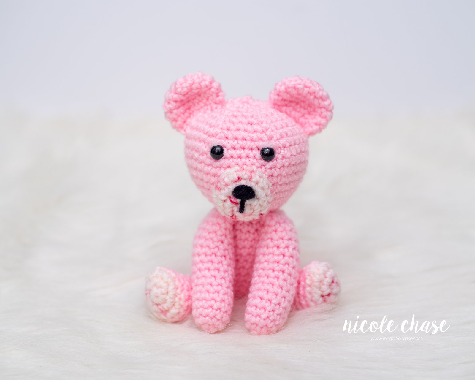 Binky the Bear photo 2